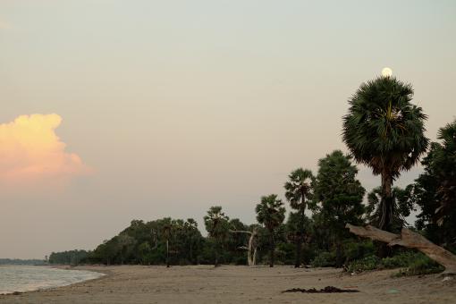 Free Stock Photo of Beach Landscape - Daylight - Relaxation