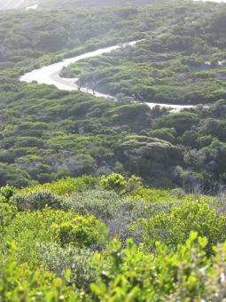 Free Stock Photo of Point Nepean Landscape, Australia