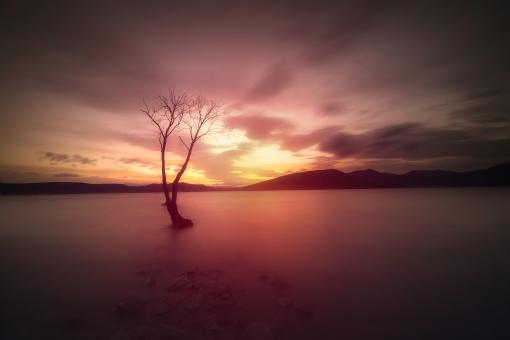 Free Stock Photo of Serene Landscape - Dead Tree Reflected on Lake at Sunrise