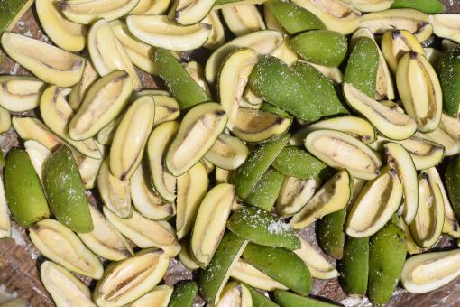 Free Stock Photo of Sun Dried Raw Sour Green Mango slices Dried mangoes, sun dried, mango 