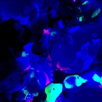 Free Stock Photo of Blue Abstract Art