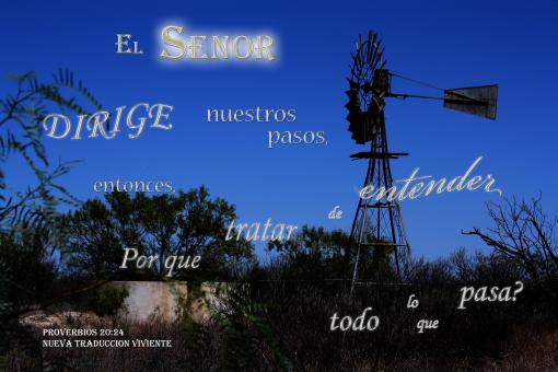 Free Stock Photo of El Senor Dirige Nuestros Pasos