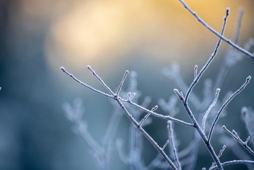 Free Stock Photo of Ice Nature Photo