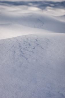 Free Stock Photo of Snow Texture Photo