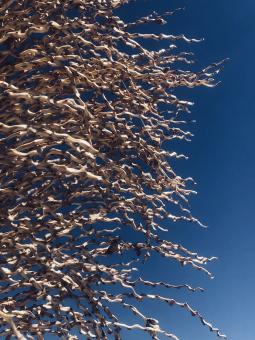 Free Stock Photo of Sky