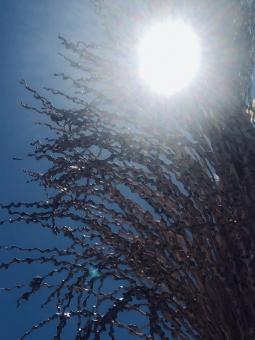 Free Stock Photo of Sun