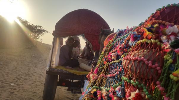 Free Stock Photo of Camel Ride 