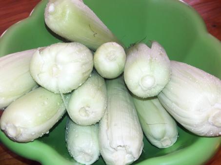 Free Stock Photo of Fresh corn 