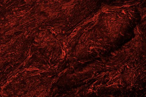 Free Stock Photo of Blood Wood