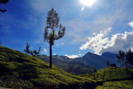 Free Stock Photo of Scenic landscape