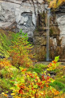Free Stock Photo of Autumn Face of Taughannock Falls