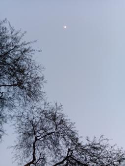 Free Stock Photo of Moonlit day