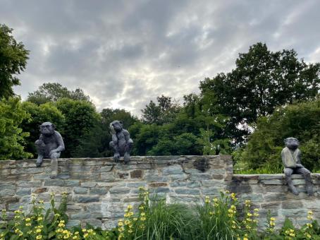 Free Stock Photo of Three Monkeys