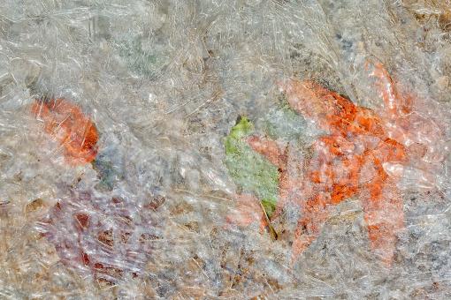 Free Stock Photo of Frozen Facets