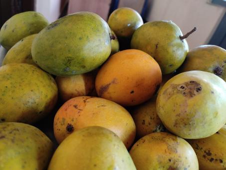 Free Stock Photo of Mangos