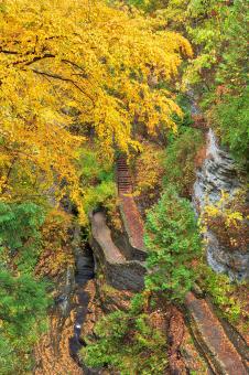 Free Stock Photo of Autumn Gorge Trail - Watkins Glens