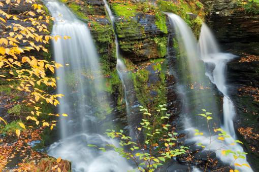 Free Stock Photo of Autumn Fulmer Falls
