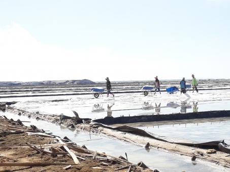 Free Stock Photo of Salt island 