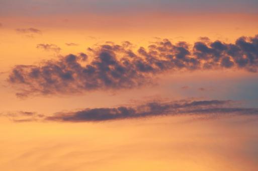 Free Stock Photo of Golden sky