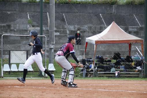 Free Stock Photo of 20211104 baseball game the catcher