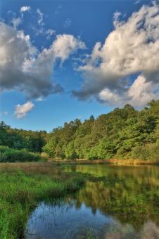 Free Stock Photo of Clashing Pond Clouds