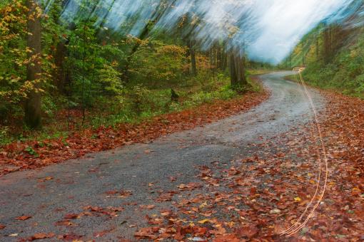 Free Stock Photo of Happy Autumn Forest Accident