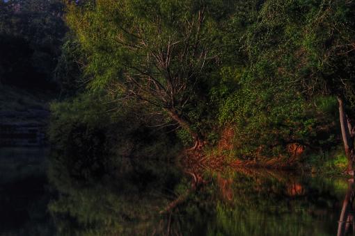 Free Stock Photo of Early reflection 