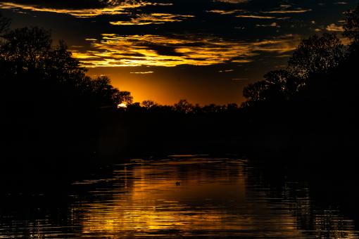 Free Stock Photo of Golden end