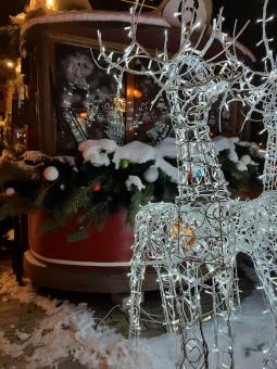Free Stock Photo of xmas decor