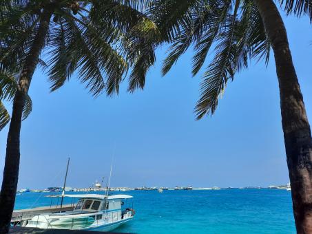 Free Stock Photo of Unseen Maldives 