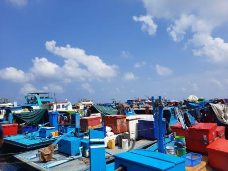 Free Stock Photo of Unseen Maldives 