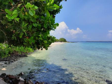 Free Stock Photo of Unseen Maldives 