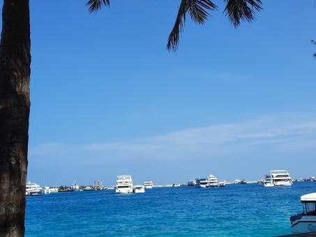 Free Stock Photo of Unseen Maldives 