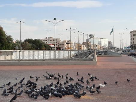 Free Stock Photo of Amazing Jeddah 