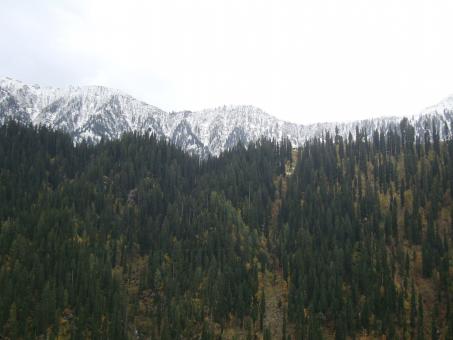 Free Stock Photo of Kashmir : Heaven on Earth