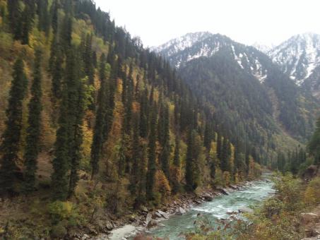 Free Stock Photo of Kashmir : Heaven on Earth