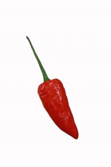 Free Stock Photo of red pepper chilli isolated on white background