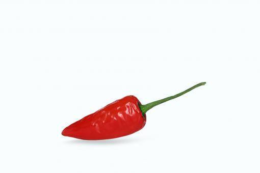 Free Stock Photo of red pepper chili in white background photos