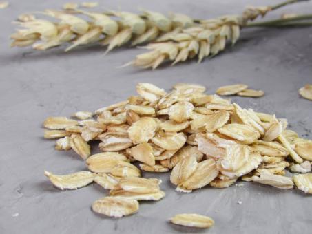 Free Stock Photo of Raw oatmeal and spikelets