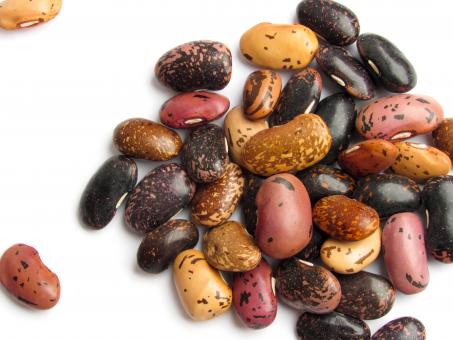Free Stock Photo of Multi-colored beans on a white background