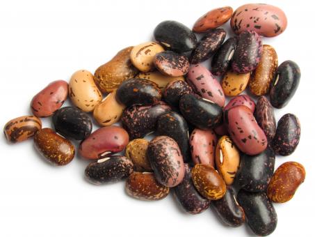 Free Stock Photo of Multi-colored beans on a white background