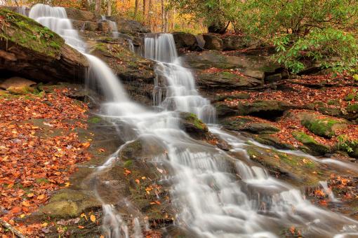 Free Stock Photo of Autumn Stewarton Falls