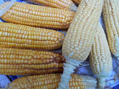 Free Stock Photo of Corn on the cob