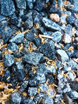 Free Stock Photo of Gravel Stones Pebbles Backgrounds Of Texture 
