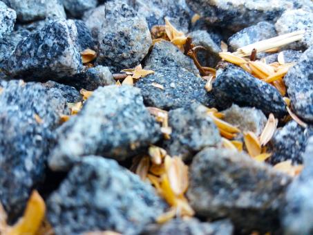 Free Stock Photo of Gravel Stones Pebbles Backgrounds Of Texture 