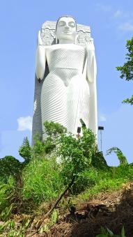 Free Stock Photo of South Asia's Tallest Buddha Statue | Sri Lanka