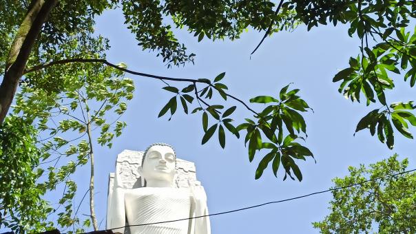 Free Stock Photo of South Asia's Tallest Buddha Statue | Sri Lanka