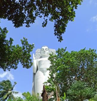 Free Stock Photo of South Asia's Tallest Buddha Statue | Sri Lanka