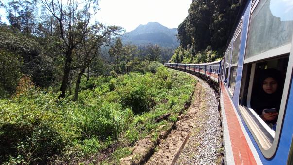 Free Stock Photo of Ella Train Ride | Sri Lanka
