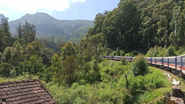 Free Stock Photo of Ella Train Ride | Sri Lanka